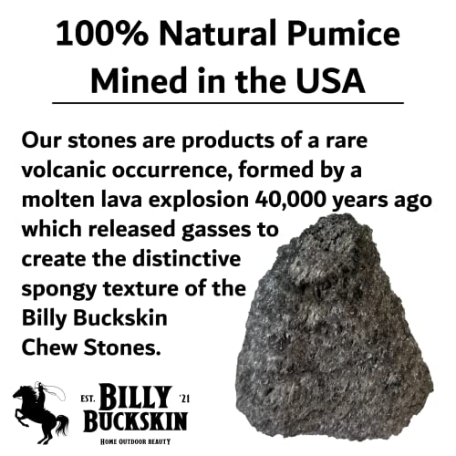 Volcanic Pumice Chinchilla Chew Block by Billy Buckskin Co. F565959