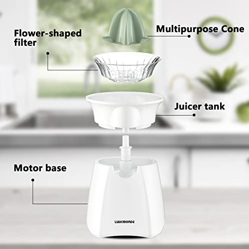 Electric Citrus Juicer Pulp Control by LUUKMONDE B4424