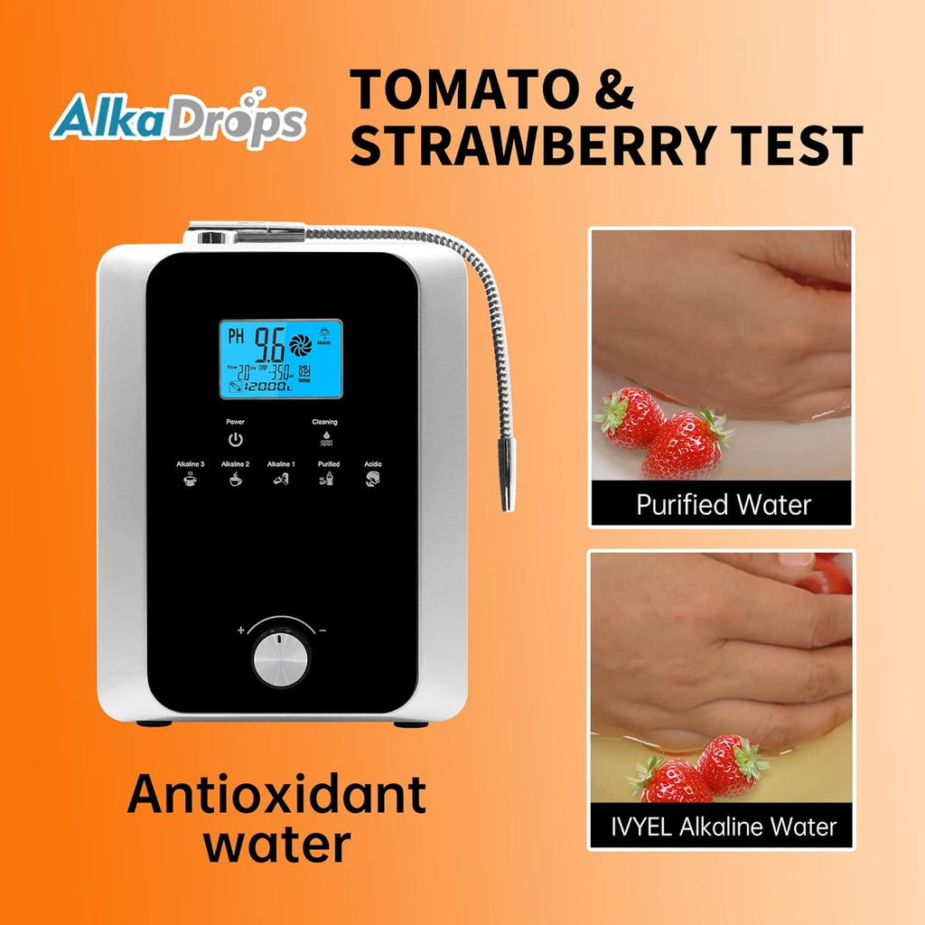 Water Ionizer and Purifier Machine, pH 3-11 Alkaline Acid Water, 11 Plate Electrode N60008