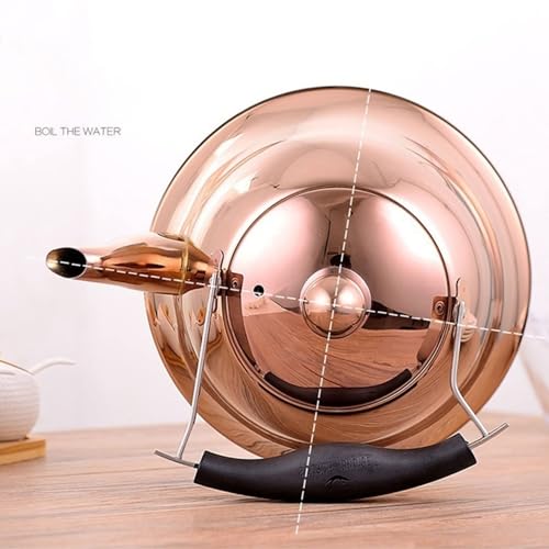 Stainless Steel Whistling Tea Kettle for Stovetop F121460
