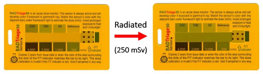 Rad Triage 50 Personal Radiation Detector for Wallet or Pocket Y6005