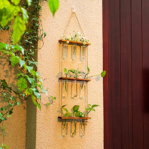 Hanging Plant Propagation Stations with Wooden Stand Glass Vases V66079