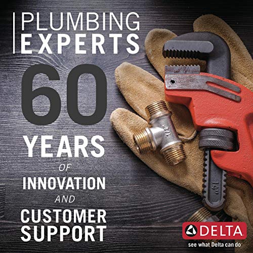 Delta Faucet Antoni Pull-Down Kitchen Faucet X538