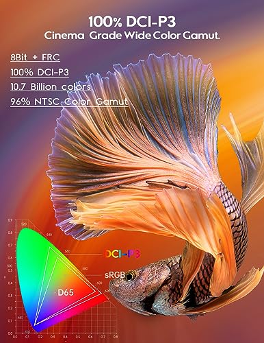 ZSCMALLS 15.6'' 4K OLED Portable Monitor for Laptop F62131