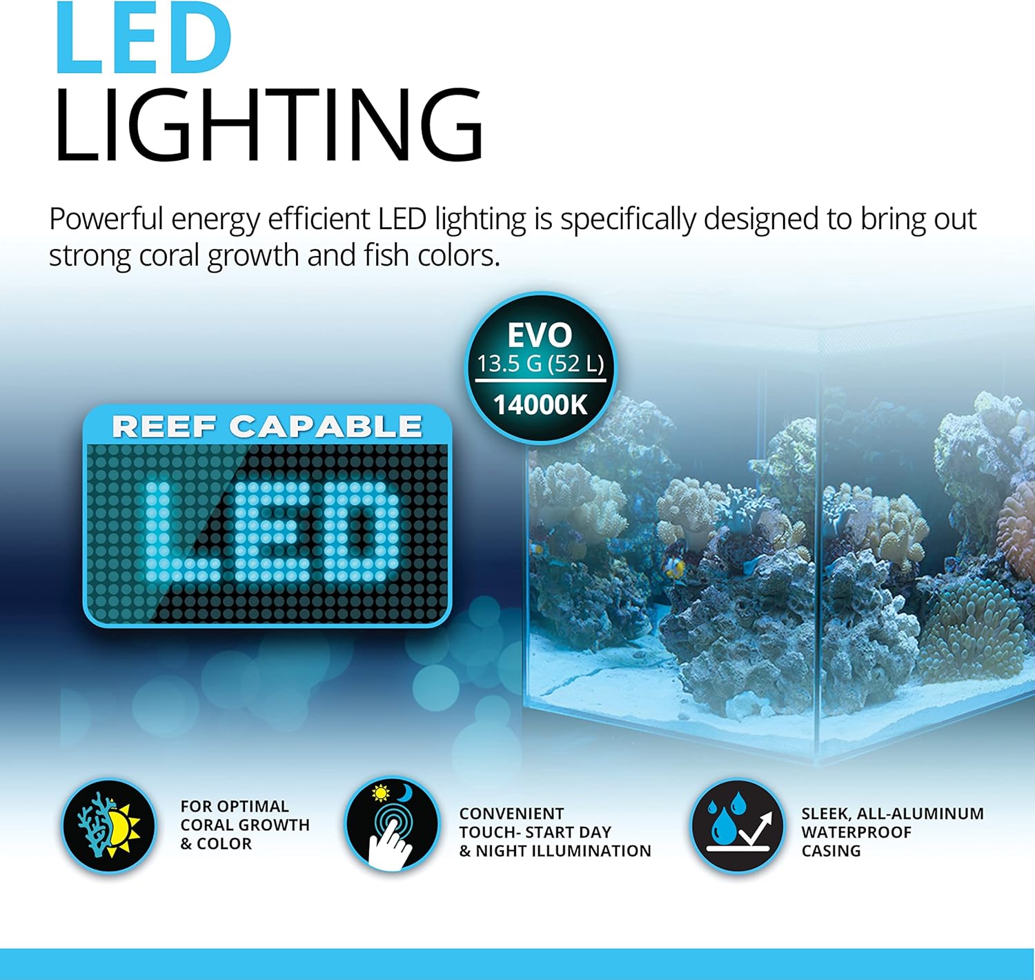 Fluval Evo XII Saltwater Aquarium Kit 13.5 Gal with LED & 3-Stage Filtration G514806