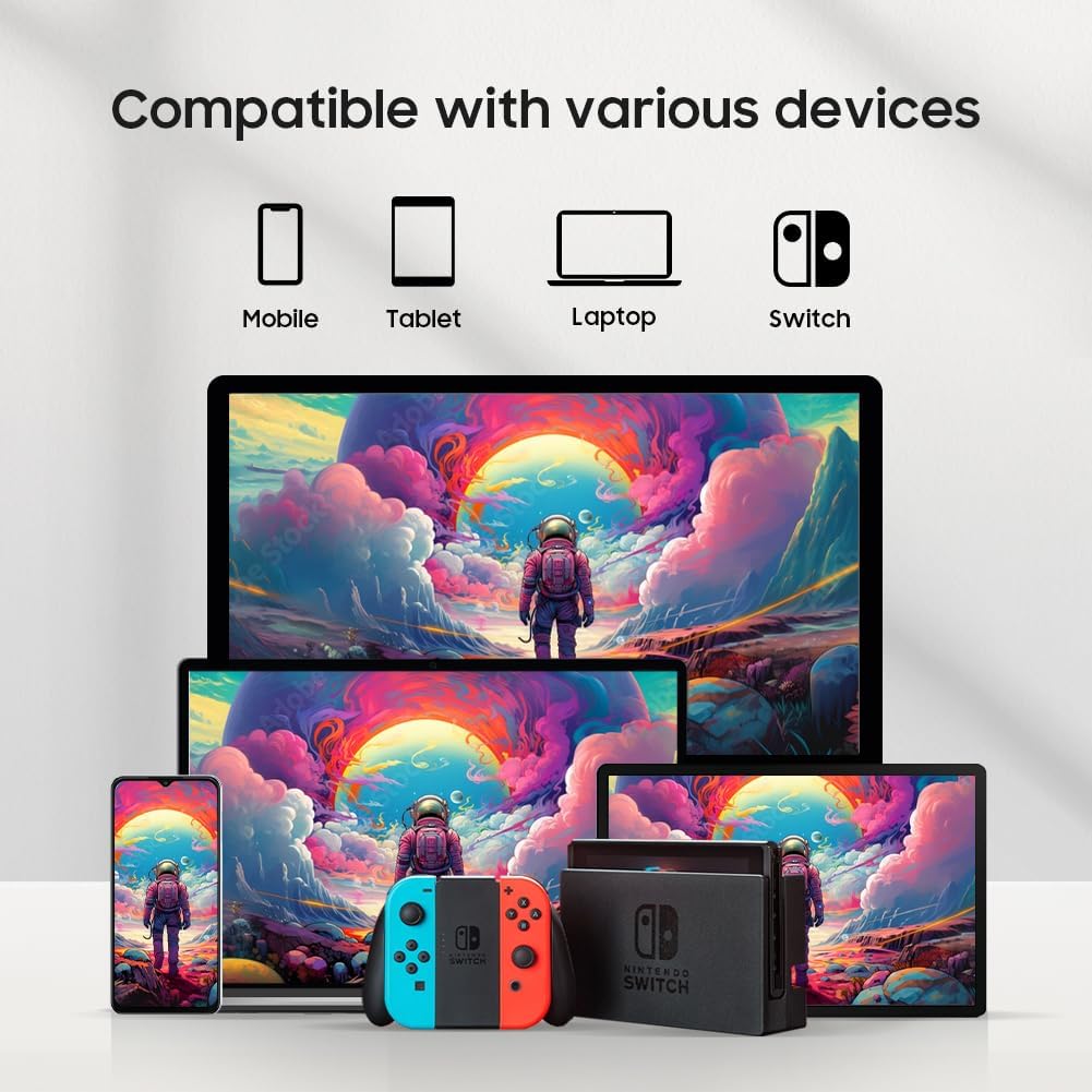 13.3" OLED 1080P Portable Touchscreen Monitor with USB-C C2898