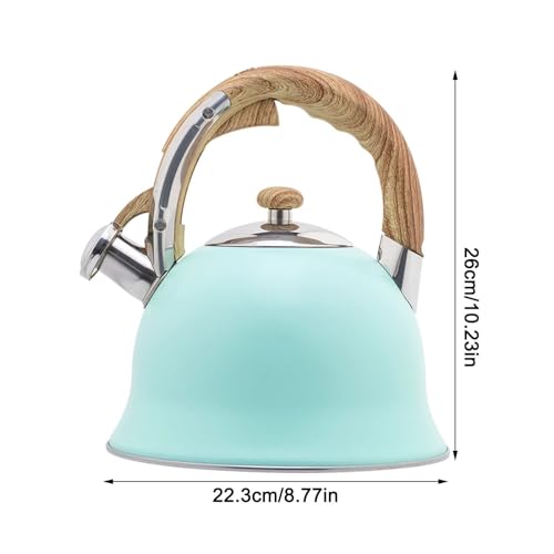 Stainless Steel Whistling Tea Kettle with Cool Touch Handle for Stovetop P9316