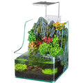 Penn Plax Presents The AquaTerrium Planting Tank - Grow Plants and Fish in one Environment