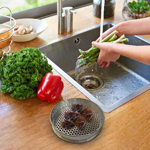 Fonowx Garden Riddle Sieve Stainless Steel Bonsai Gardening Tool W829743