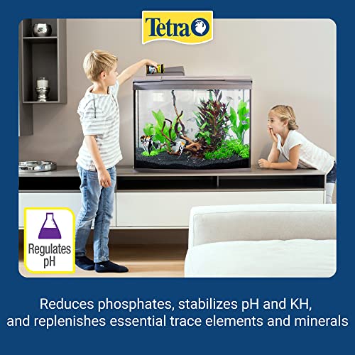 Tetra EasyBalance Plus Weekly Freshwater Aquarium Water Conditioner Q4439