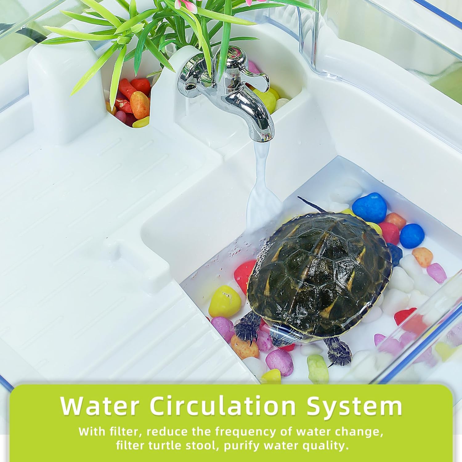 Terrarium Turtle Tank Kit with Basking Platform, Filter, and Water Pump K3627