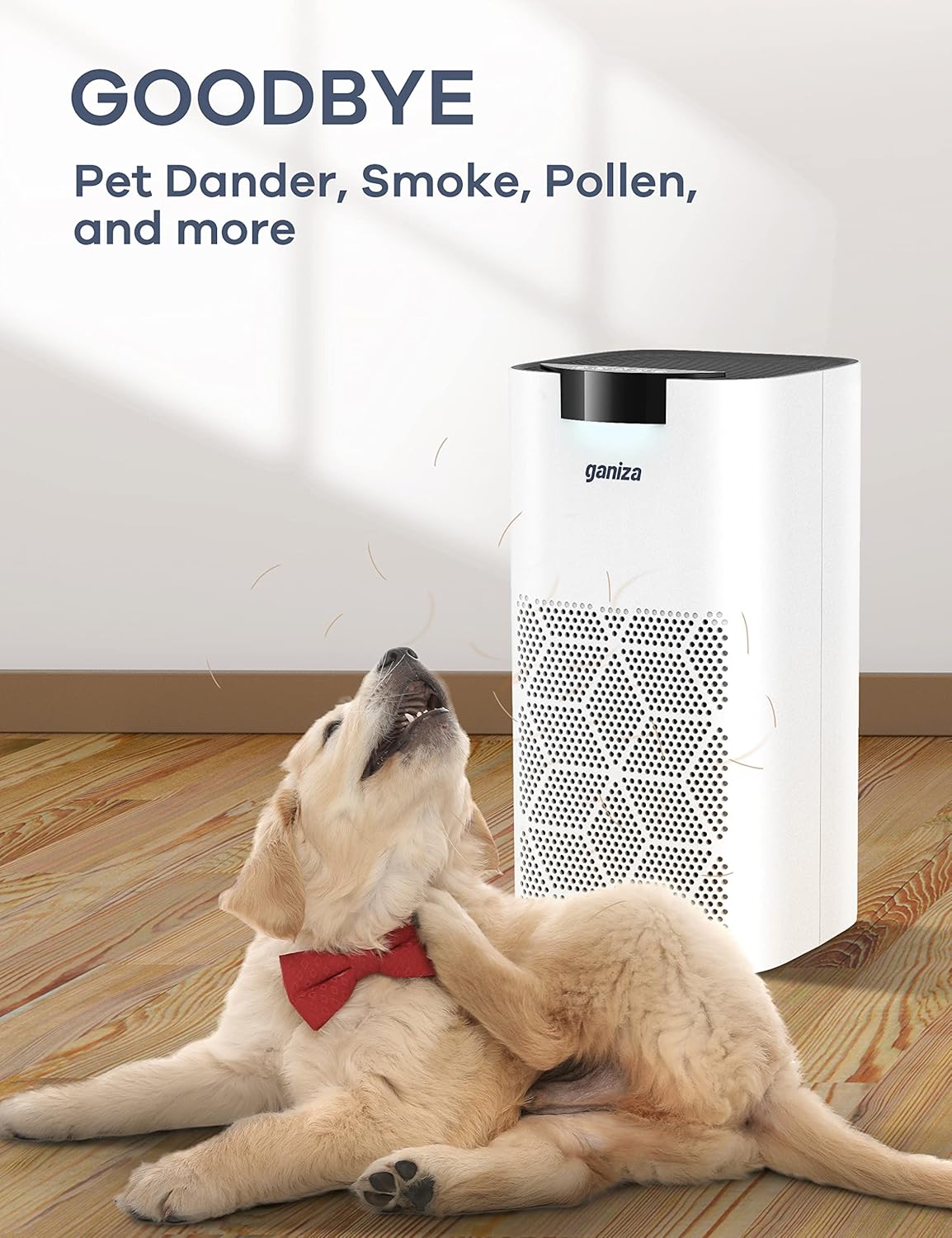 Ganiza Air Purifiers for Home Large Room, H13 HEPA Filter L851