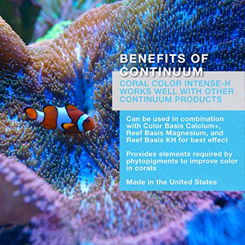 Continuum Aquatics Coral Color Intense H Time Release Halogen Supplement R479239