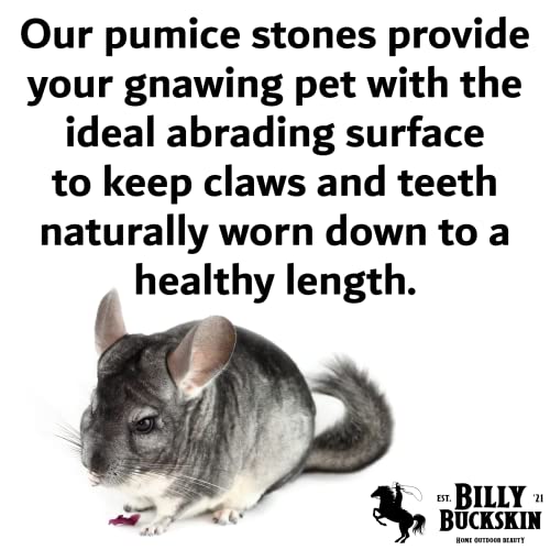Volcanic Pumice Chinchilla Chew Block by Billy Buckskin Co. F565959