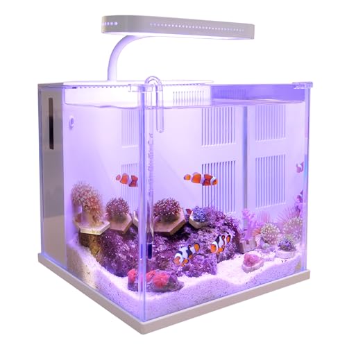 Betta Fish Tank Aquarium Starter Kit 2 Gallon Glass with LED Light M7549