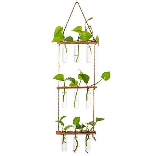 Hanging Plant Propagation Stations Tubes, Glasseam Wall Glass Planter Terrarium with Wooden Stand Propogation Station Vases Test Tubes for Plants Propagate Hydroponics Air Flower