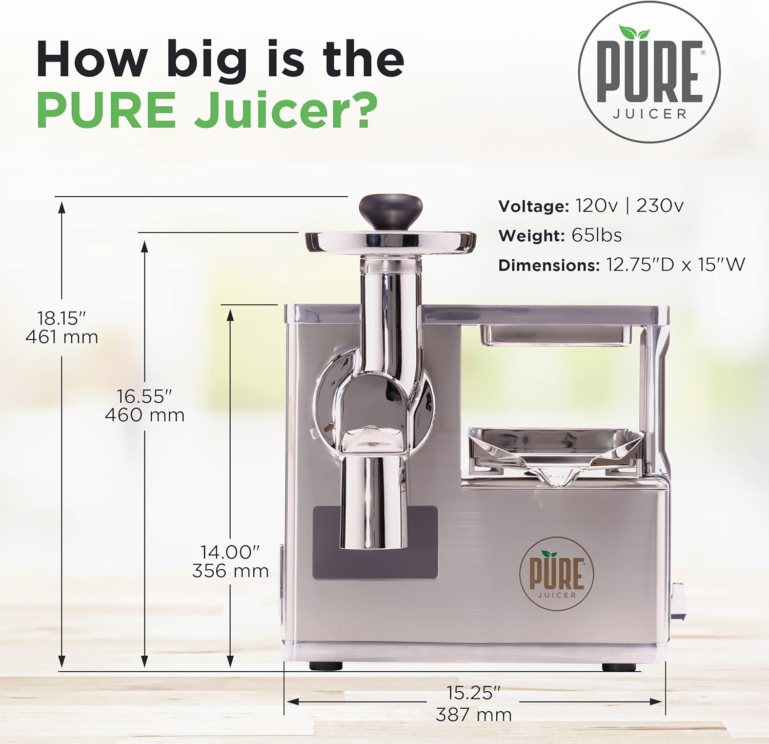 PURE Juicer Two-Stage Cold Press Juicing Machine with Stainless Grinder T838739