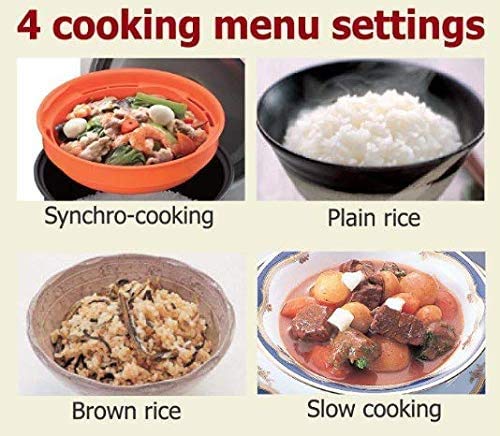 Tiger JBV-A10U Micom 5.5-Cup Rice Cooker and Warmer Z419