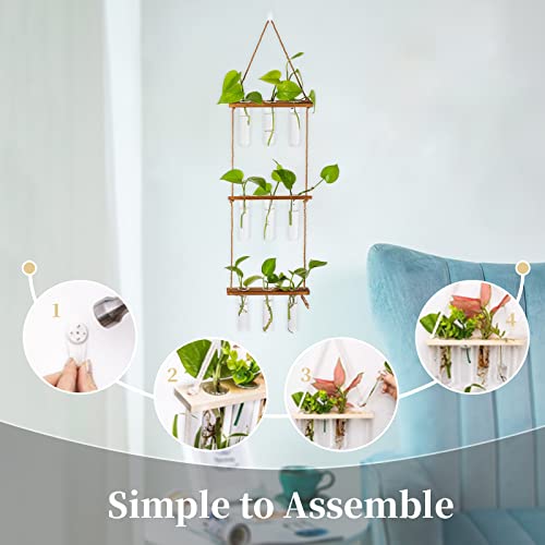 Hanging Plant Propagation Stations with Wooden Stand Glass Vases V66079