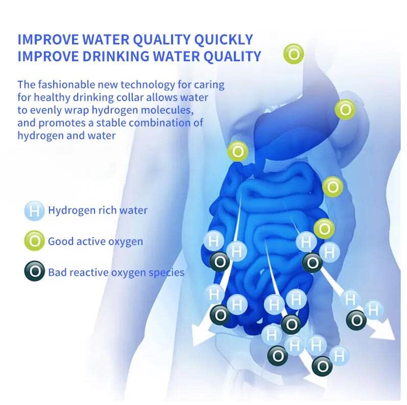 Hydrogen Water Bottle Portable Ionizer with PEM and SPE Technology D6575