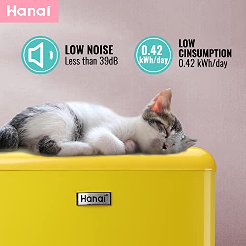 WANAI mini fridge with freezer dual door O19920
