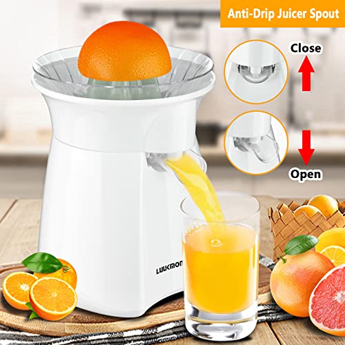 Electric Citrus Juicer Pulp Control by LUUKMONDE B4424