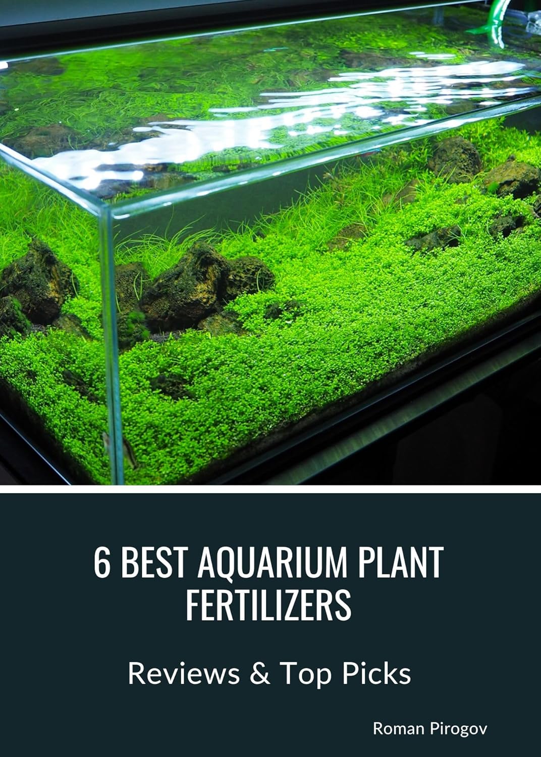 6 Best Aquarium Plant Fertilizers: Reviews & Top Picks