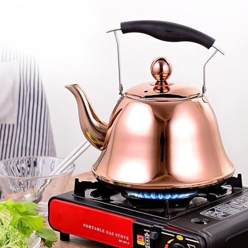 Stainless Steel Whistling Tea Kettle for Stovetop F121460