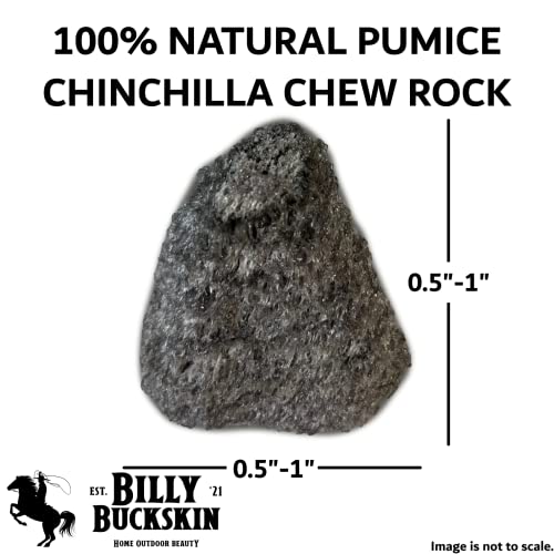 Volcanic Pumice Chinchilla Chew Block by Billy Buckskin Co. F565959