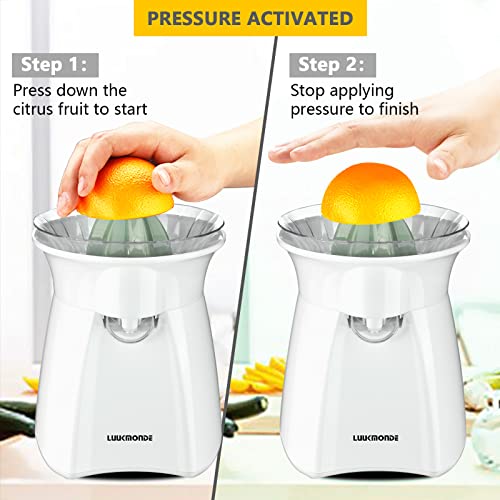 Electric Citrus Juicer Pulp Control by LUUKMONDE B4424