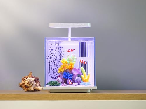 Betta Fish Tank Aquarium Starter Kit 2 Gallon Glass with LED Light M7549