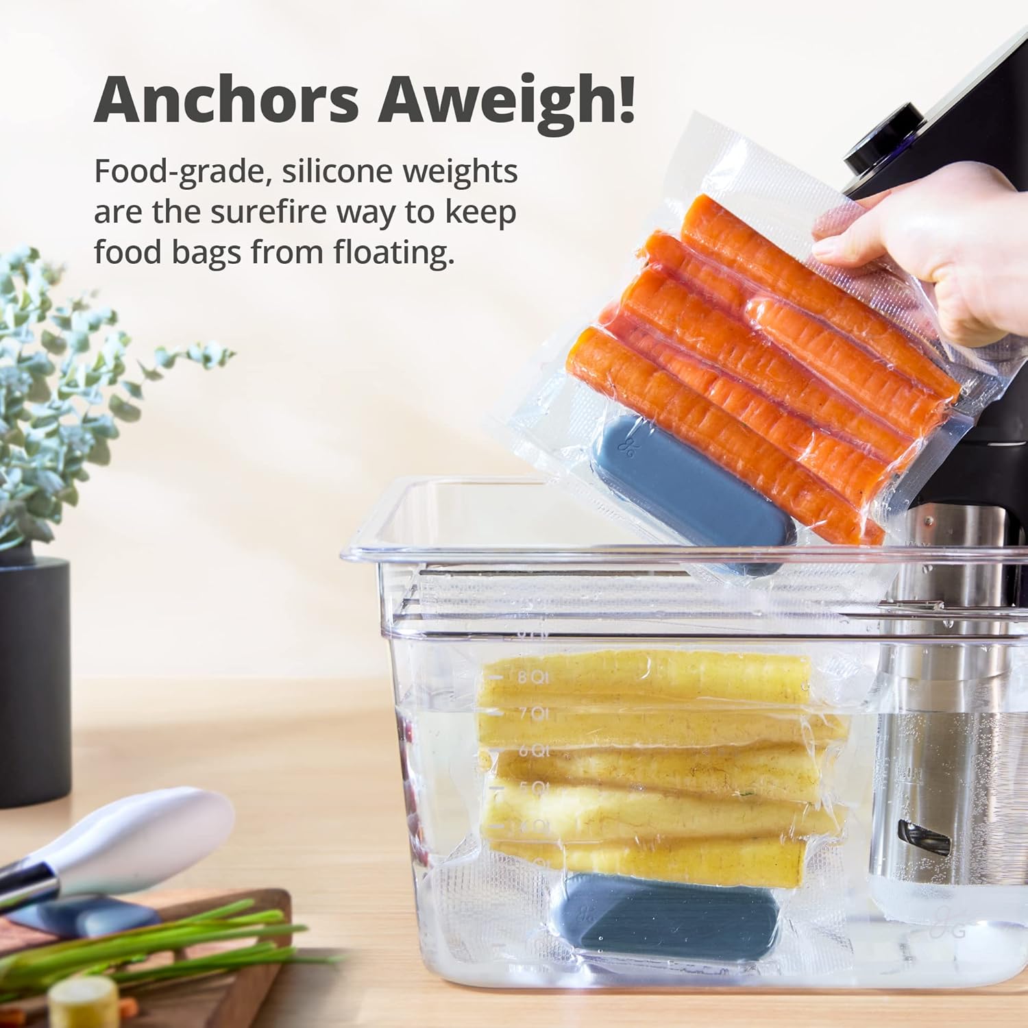 Greater Goods Holiday Sous Vide Bundle with Cooker, Container, and Silicone Weights I566