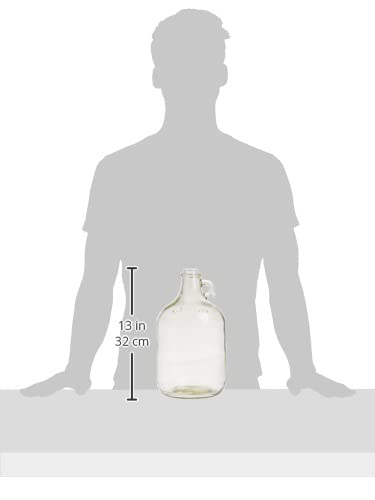FastRack Stopper/Airlock 1 Gallon Glass Fermenter Jug, Clear Y840227