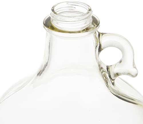 FastRack Stopper/Airlock 1 Gallon Glass Fermenter Jug, Clear Y840227