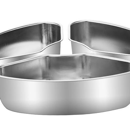 WDSDFDASFS Food Steamer Box Tray Set with Collapsible Steamer Basket Insert K7513