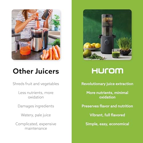 Hurom H310A Slow Masticating Juicer H17085