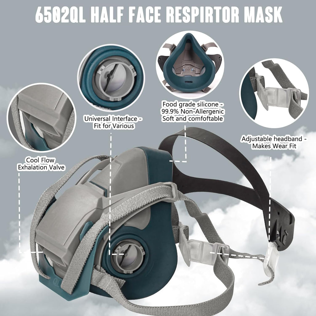 6502QL Respirator Mask with 6001 Filters for Paint and Chemicals N67904