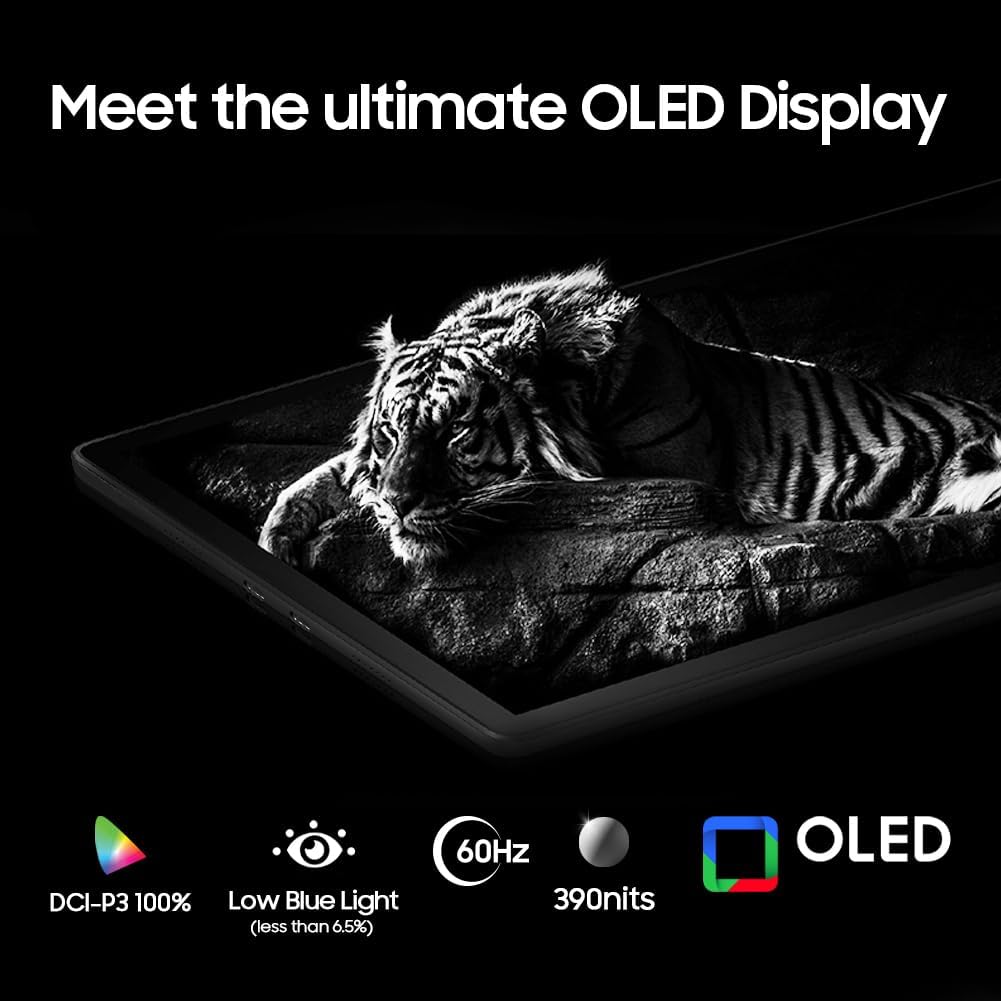 13.3" OLED 1080P Portable Touchscreen Monitor with USB-C C2898