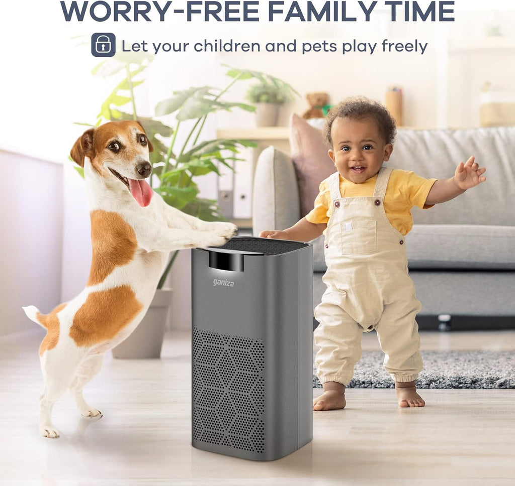Ganiza Air Purifiers for Home Large Room, H13 HEPA Filter L851