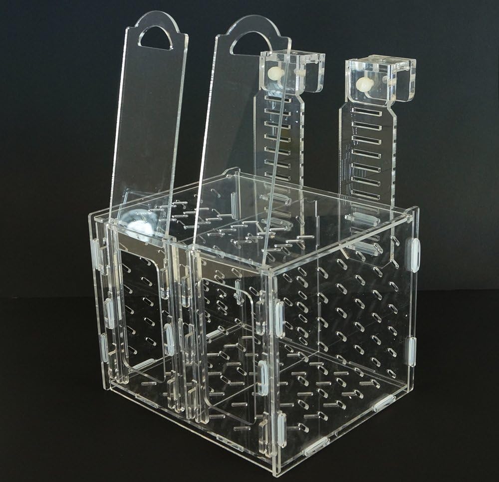 RF-200C Collapsible Acclimation Box X20826