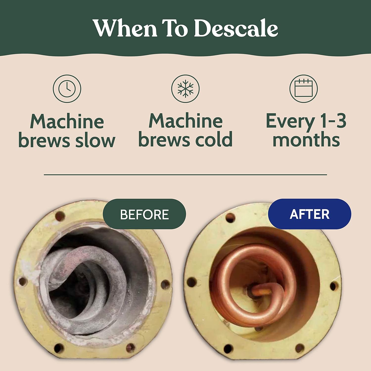 DeLonghi Compatible Descaling Solution for Coffee Makers, 4 Uses, Eco-Friendly B865792
