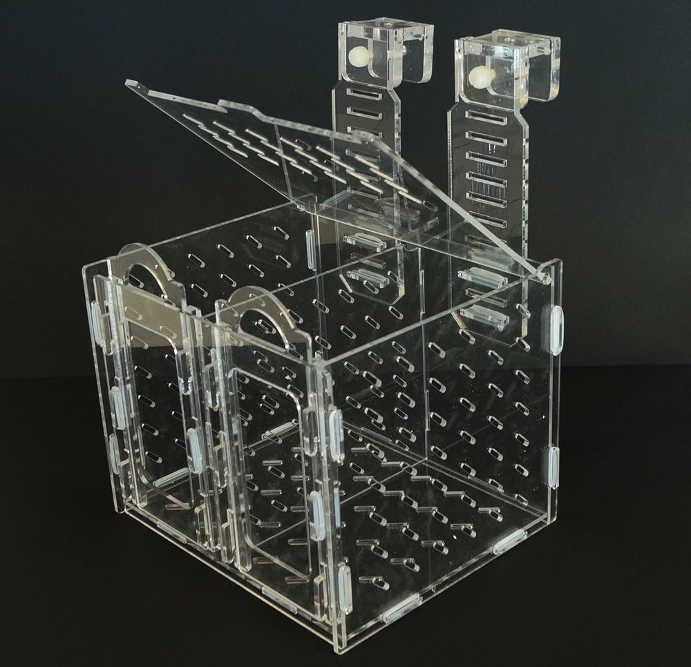 RF-200C Collapsible Acclimation Box X20826