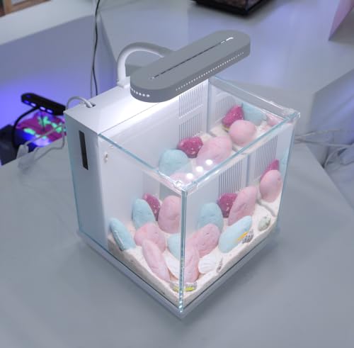 Betta Fish Tank Aquarium Starter Kit 2 Gallon Glass with LED Light M7549