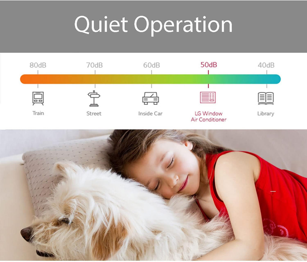 LG 23,000 BTU 230V Window-Mounted Air Conditioner with Supplemental Heat C191