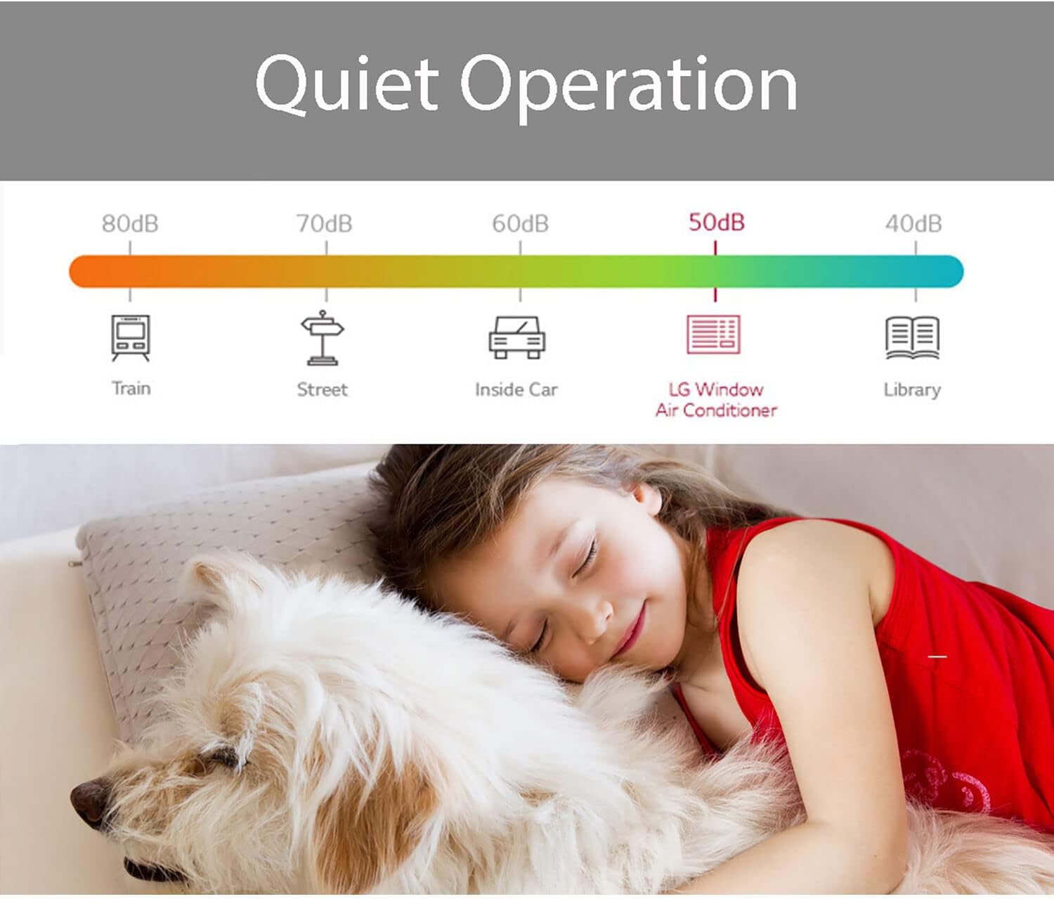 LG 23,000 BTU 230V Window-Mounted Air Conditioner with Supplemental Heat C191
