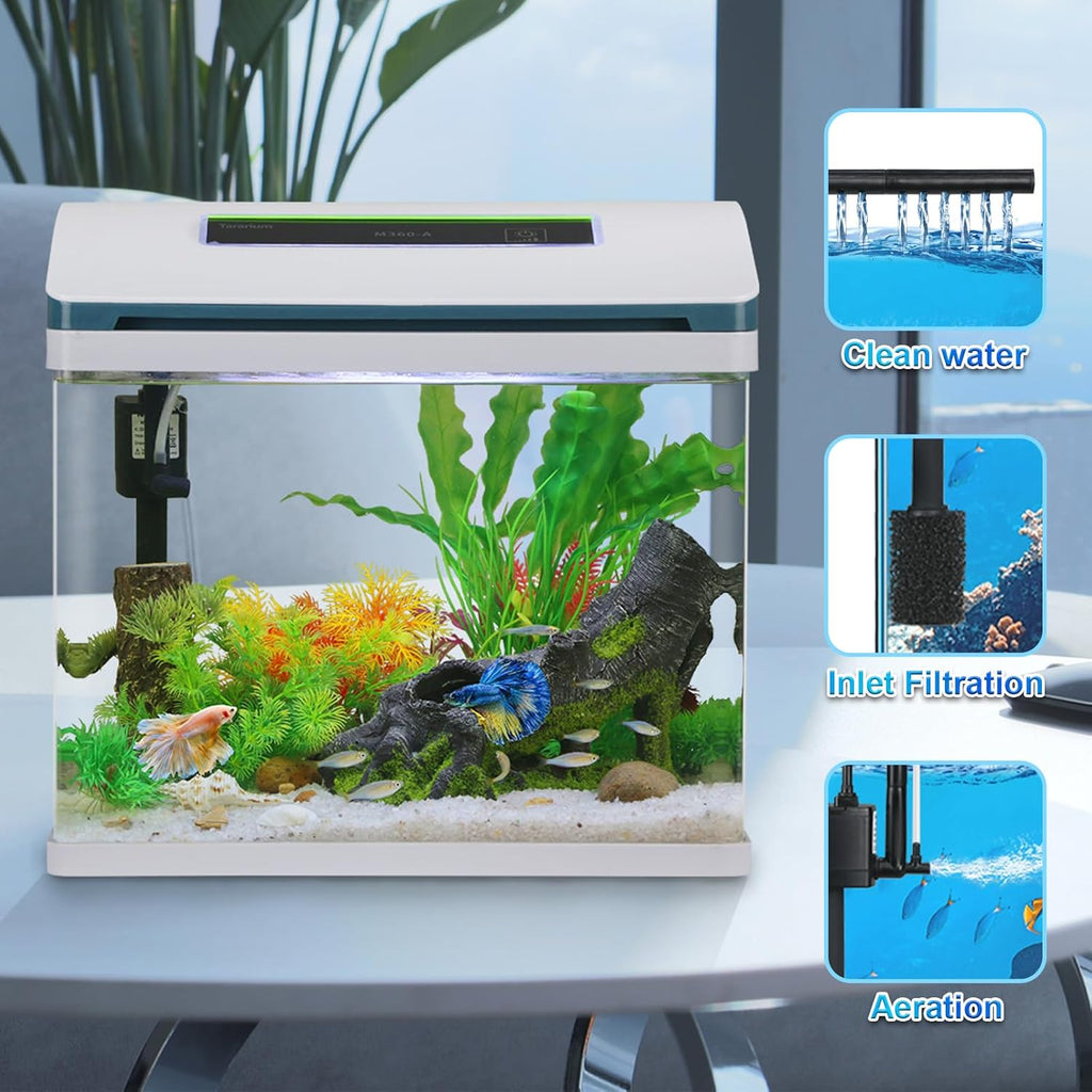 Betta Fish Tank 5 Gallon Self Cleaning Glass Aquarium Kit with LED Light & Filter Z882