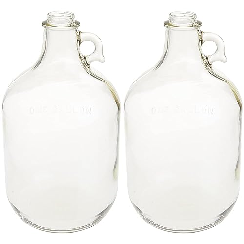 FastRack Stopper/Airlock 1 Gallon Glass Fermenter/Jug, Clear