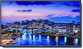 NEC V801 80-Inch 1080p 60Hz LED TV with Integrated Speakers