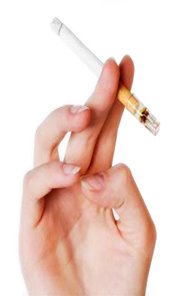 Disposable Cigarette Filters with Holder Tips Q443900