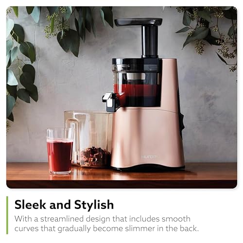 Hurom H-AA Slow Juicer J67580